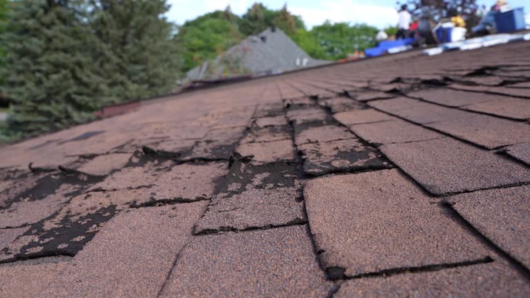 Best Steel Roofing  in Vienna, WV